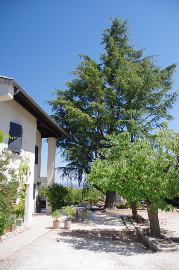 Le Grand Cedre - 2 Chambres D'Hotes - Sud Ardeche Bourg-Saint-Andéol Dış mekan fotoğraf